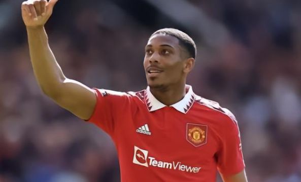 人看似无情 人看似无情